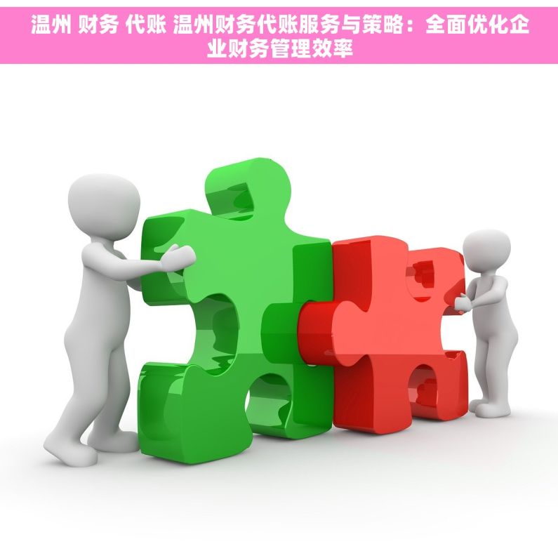 温州 财务 代账 温州财务代账服务与策略：全面优化企业财务管理效率