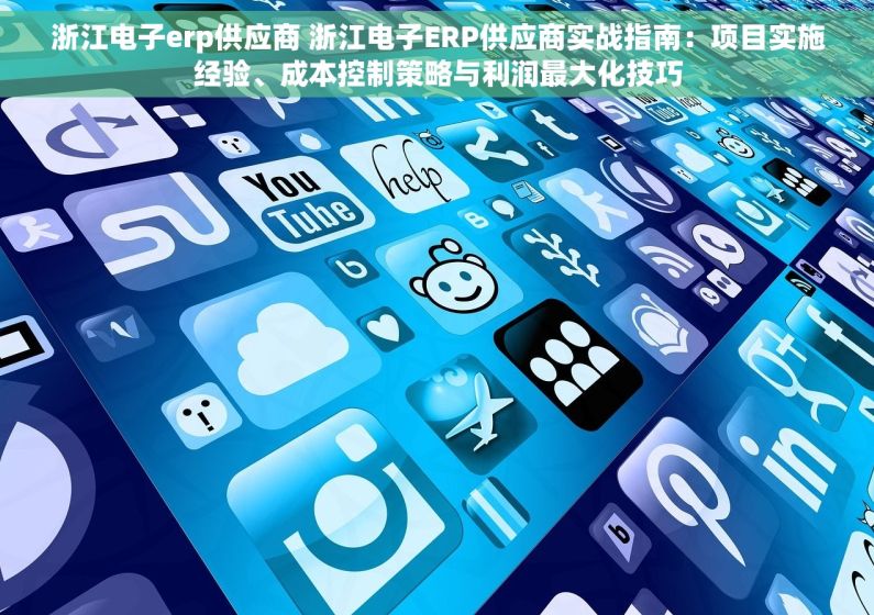 浙江电子erp供应商 浙江电子ERP供应商实战指南：项目实施经验、成本控制策略与利润最大化技巧