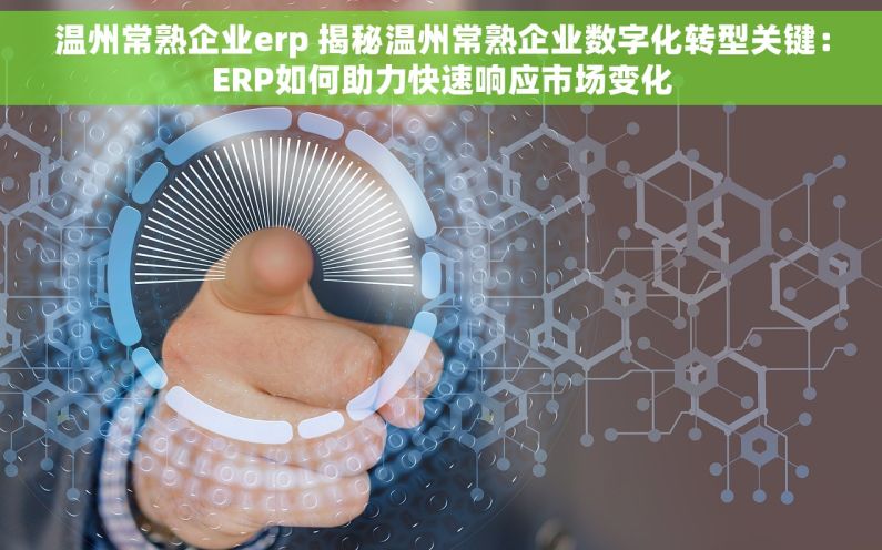 温州常熟企业erp 揭秘温州常熟企业数字化转型关键：ERP如何助力快速响应市场变化