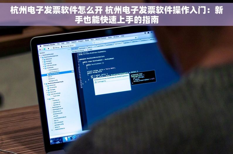 杭州电子发票软件怎么开 杭州电子发票软件操作入门：新手也能快速上手的指南