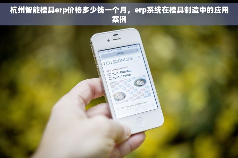 杭州智能模具erp价格多少钱一个月，erp系统在模具制造中的应用案例