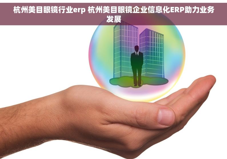 杭州美目眼镜行业erp 杭州美目眼镜企业信息化ERP助力业务发展