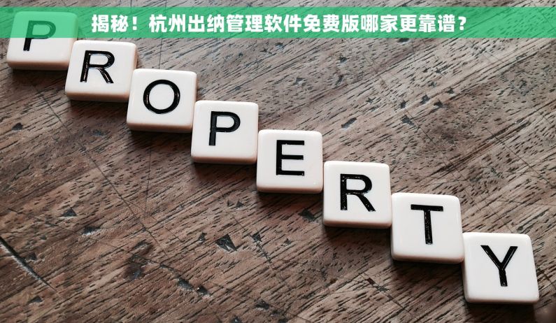 揭秘！杭州出纳管理软件免费版哪家更靠谱？