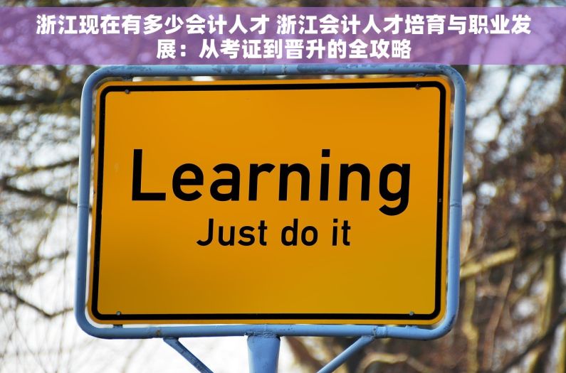 浙江现在有多少会计人才 浙江会计人才培育与职业发展：从考证到晋升的全攻略