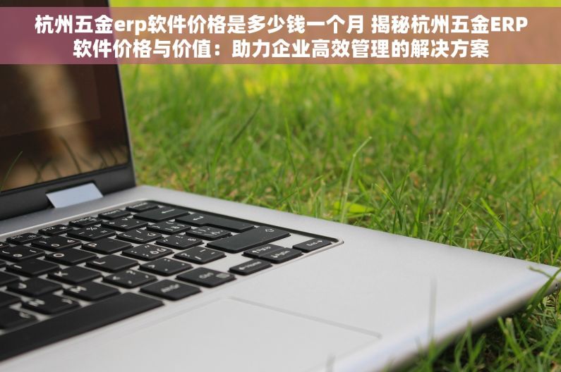 杭州五金erp软件价格是多少钱一个月 揭秘杭州五金ERP软件价格与价值：助力企业高效管理的解决方案
