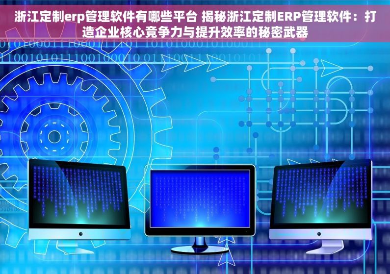 浙江定制erp管理软件有哪些平台 揭秘浙江定制ERP管理软件：打造企业核心竞争力与提升效率的秘密武器