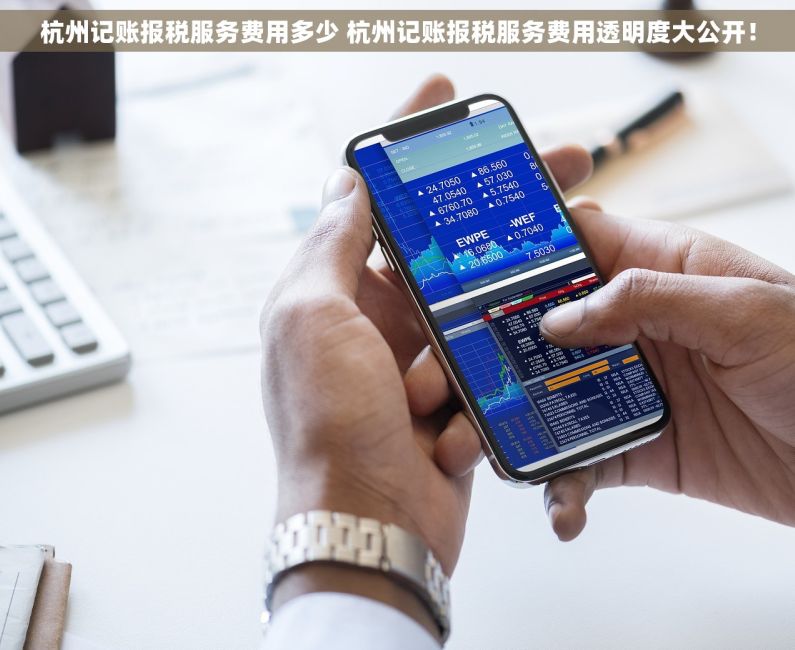 杭州记账报税服务费用多少 杭州记账报税服务费用透明度大公开！