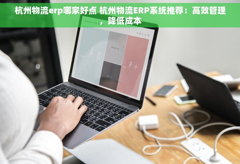杭州物流erp哪家好点 杭州物流ERP系统推荐：高效管理，降低成本