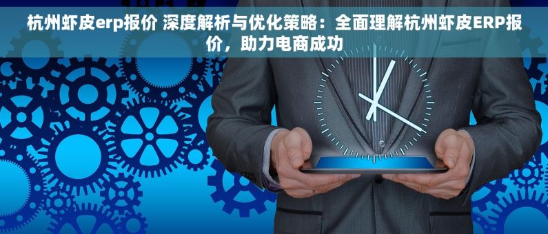 杭州虾皮erp报价 深度解析与优化策略：全面理解杭州虾皮ERP报价，助力电商成功