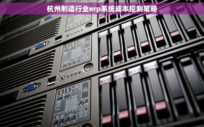 杭州制造行业erp系统成本控制策略