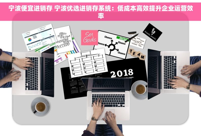 宁波便宜进销存 宁波优选进销存系统：低成本高效提升企业运营效率
