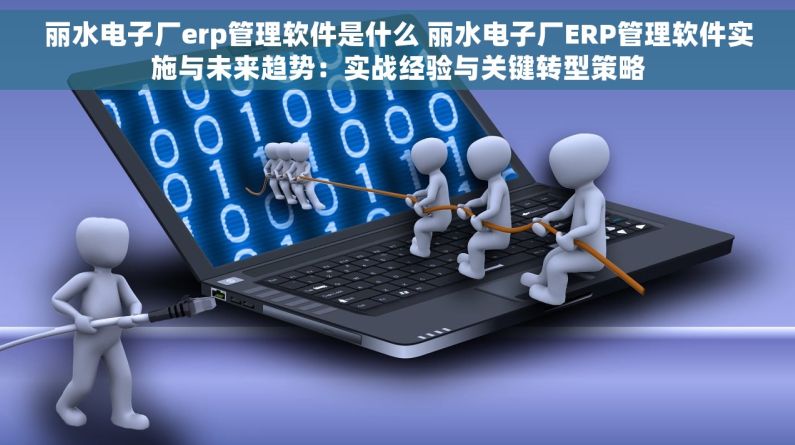 丽水电子厂erp管理软件是什么 丽水电子厂ERP管理软件实施与未来趋势：实战经验与关键转型策略