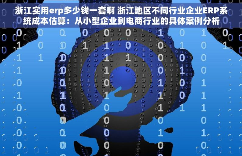 浙江实用erp多少钱一套啊 浙江地区不同行业企业ERP系统成本估算：从小型企业到电商行业的具体案例分析