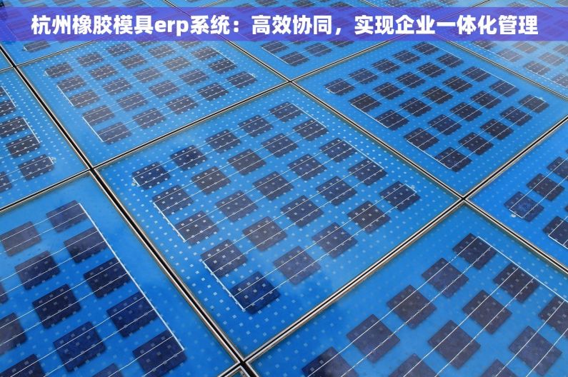 杭州橡胶模具erp系统：高效协同，实现企业一体化管理