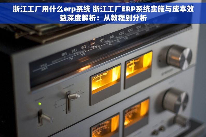 浙江工厂用什么erp系统 浙江工厂ERP系统实施与成本效益深度解析：从教程到分析