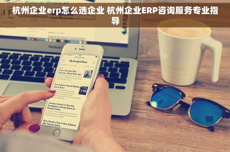 杭州企业erp怎么选企业 杭州企业ERP咨询服务专业指导