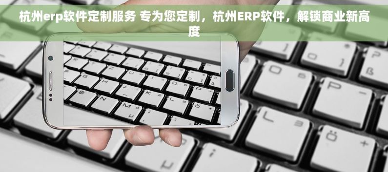 杭州erp软件定制服务 专为您定制，杭州ERP软件，解锁商业新高度