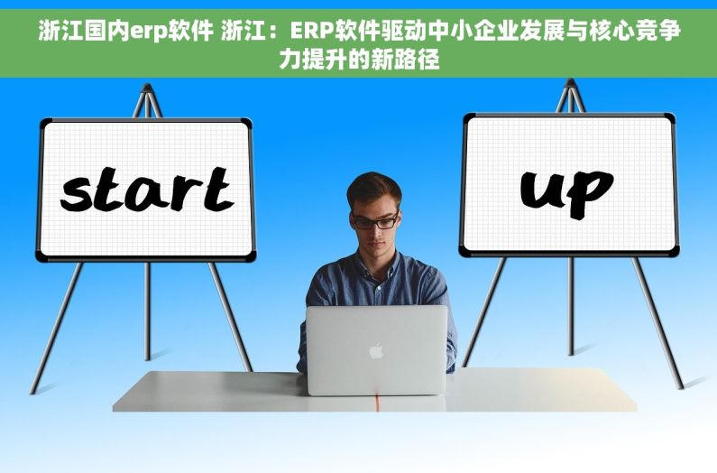 浙江国内erp软件 浙江：ERP软件驱动中小企业发展与核心竞争力提升的新路径