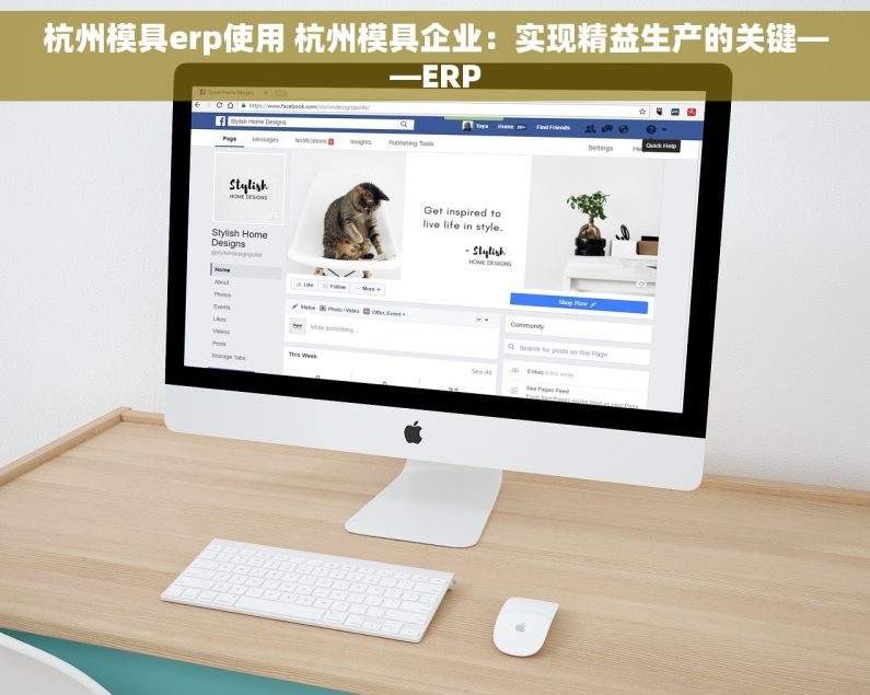 杭州模具erp使用 杭州模具企业：实现精益生产的关键——ERP