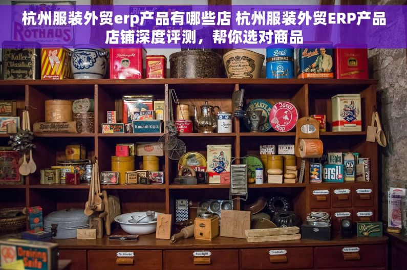 杭州服装外贸erp产品有哪些店 杭州服装外贸ERP产品店铺深度评测，帮你选对商品