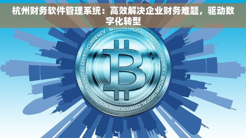 杭州财务软件管理系统：高效解决企业财务难题，驱动数字化转型
