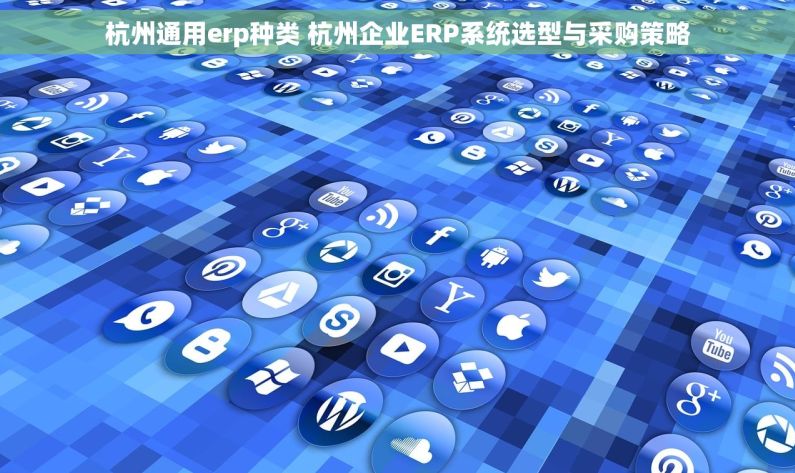 杭州通用erp种类 杭州企业ERP系统选型与采购策略
