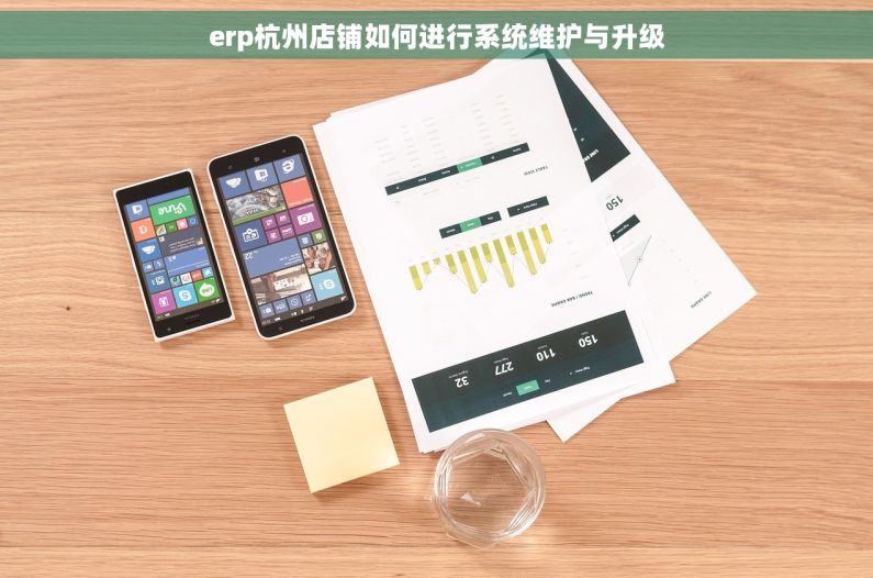erp杭州店铺如何进行系统维护与升级
