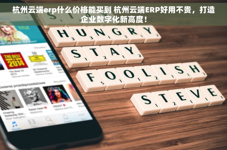 杭州云端erp什么价格能买到 杭州云端ERP好用不贵，打造企业数字化新高度！
