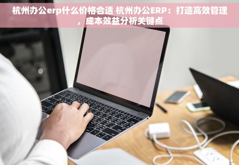 杭州办公erp什么价格合适 杭州办公ERP：打造高效管理，成本效益分析关键点