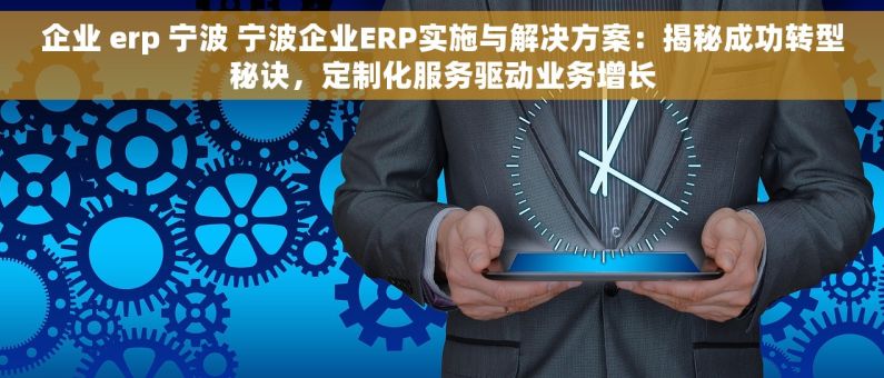 企业 erp 宁波 宁波企业ERP实施与解决方案：揭秘成功转型秘诀，定制化服务驱动业务增长