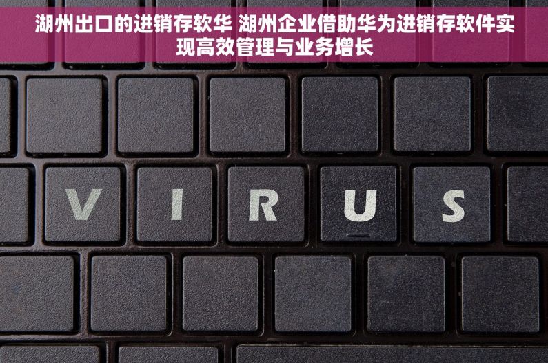 湖州出口的进销存软华 湖州企业借助华为进销存软件实现高效管理与业务增长