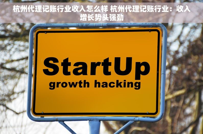 杭州代理记账行业收入怎么样 杭州代理记账行业：收入增长势头强劲