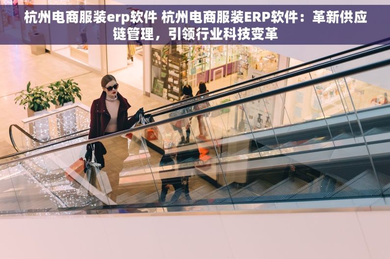 杭州电商服装erp软件 杭州电商服装ERP软件：革新供应链管理，引领行业科技变革