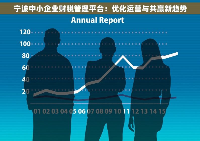 宁波中小企业财税管理平台：优化运营与共赢新趋势