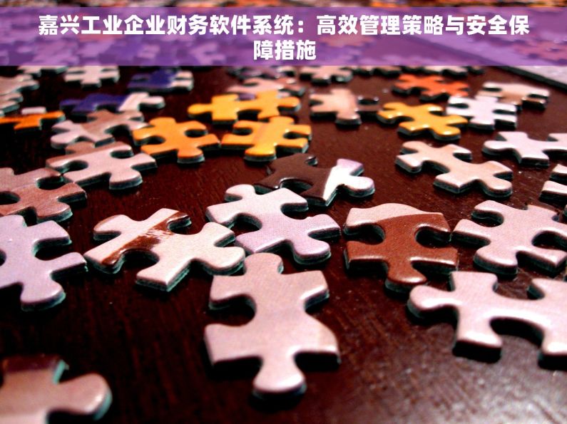 嘉兴工业企业财务软件系统：高效管理策略与安全保障措施