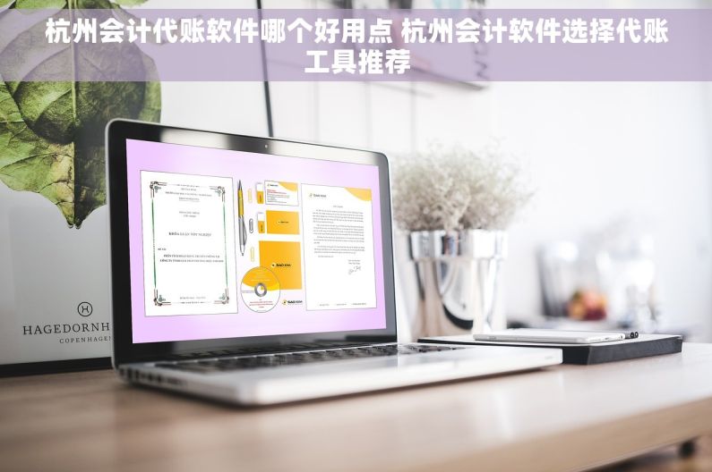 杭州会计代账软件哪个好用点 杭州会计软件选择代账工具推荐