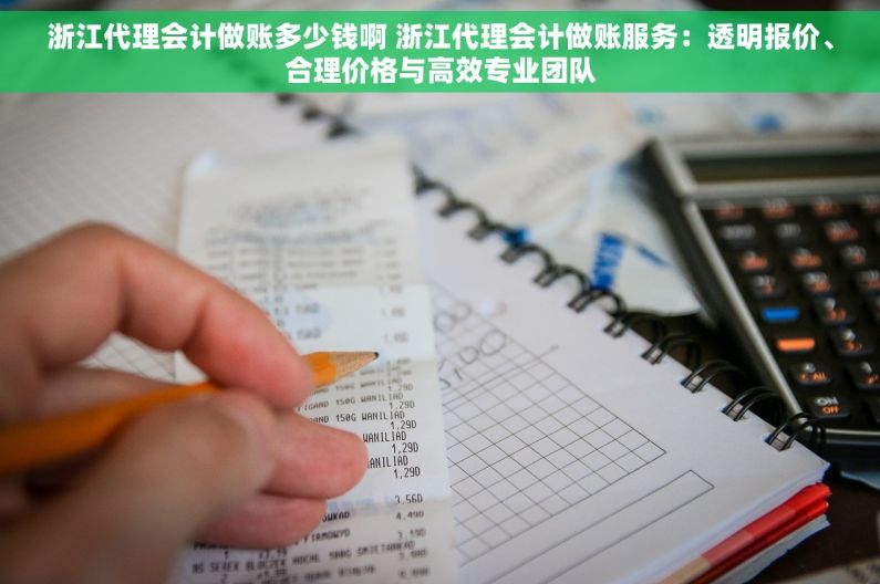 浙江代理会计做账多少钱啊 浙江代理会计做账服务：透明报价、合理价格与高效专业团队