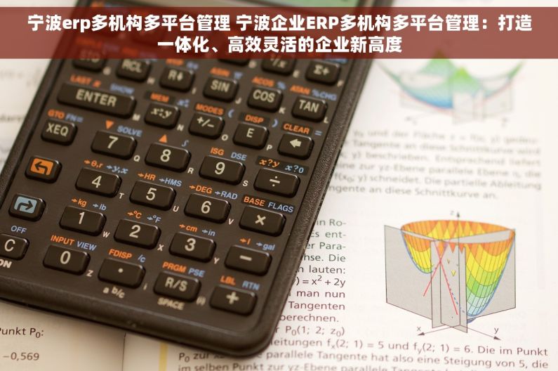 宁波erp多机构多平台管理 宁波企业ERP多机构多平台管理：打造一体化、高效灵活的企业新高度