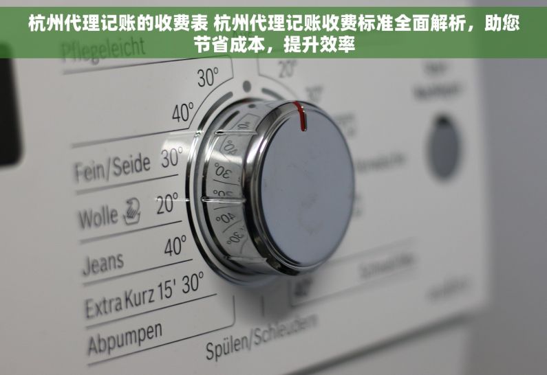 杭州代理记账的收费表 杭州代理记账收费标准全面解析，助您节省成本，提升效率