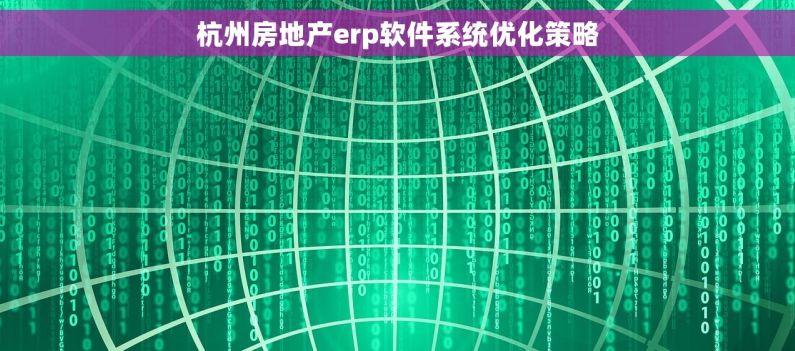 杭州房地产erp软件系统优化策略