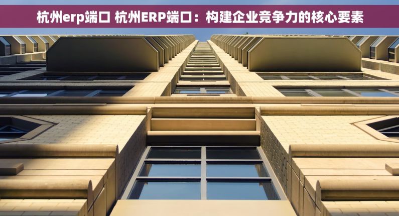 杭州erp端口 杭州ERP端口：构建企业竞争力的核心要素
