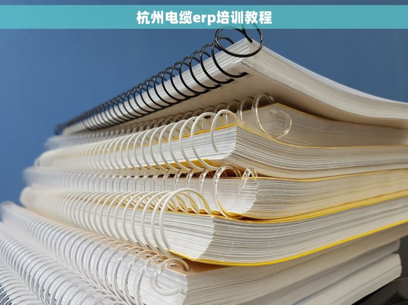 杭州电缆erp培训教程