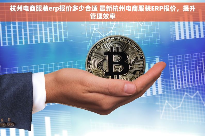 杭州电商服装erp报价多少合适 最新杭州电商服装ERP报价，提升管理效率