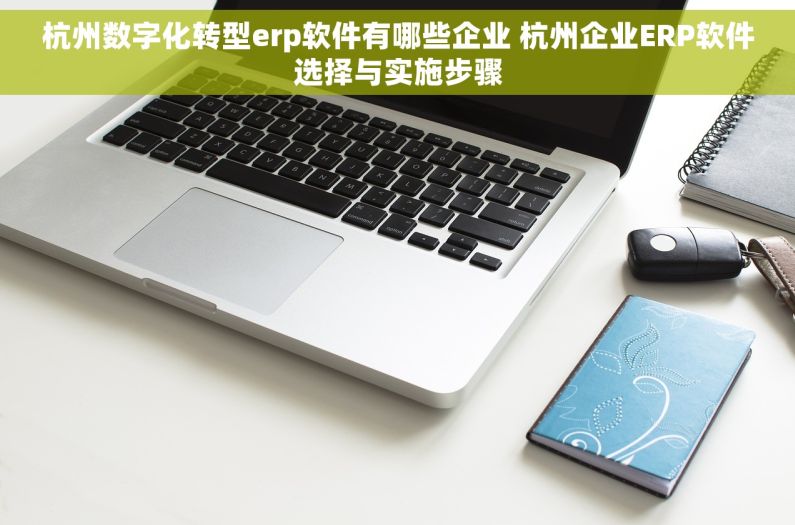 杭州数字化转型erp软件有哪些企业 杭州企业ERP软件选择与实施步骤