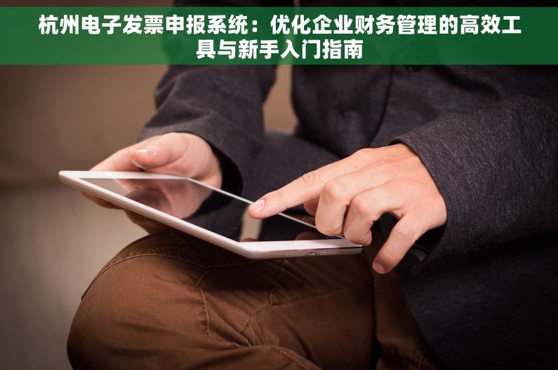 杭州电子发票申报系统：优化企业财务管理的高效工具与新手入门指南