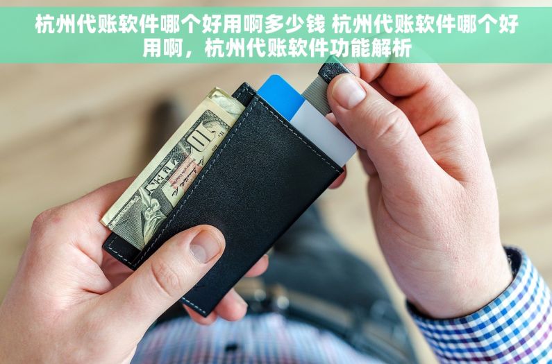 杭州代账软件哪个好用啊多少钱 杭州代账软件哪个好用啊，杭州代账软件功能解析