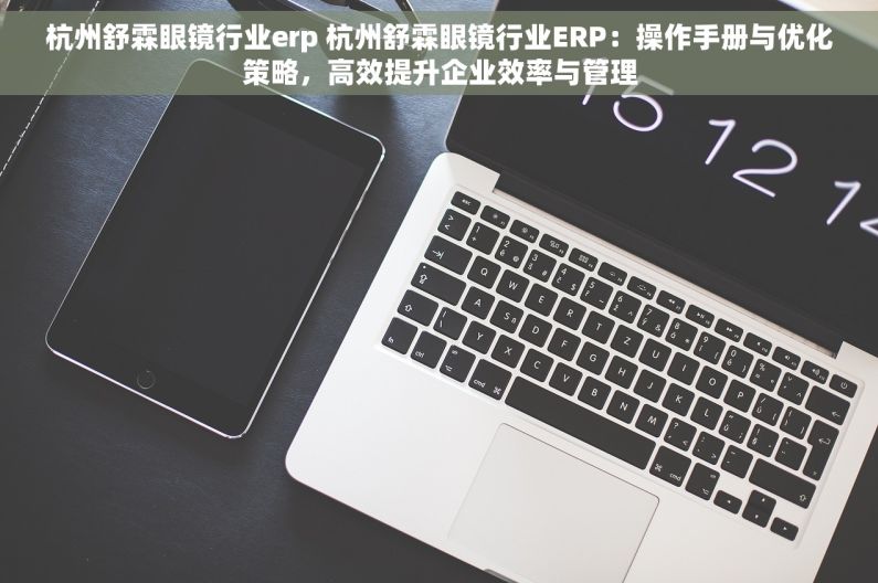 杭州舒霖眼镜行业erp 杭州舒霖眼镜行业ERP：操作手册与优化策略，高效提升企业效率与管理