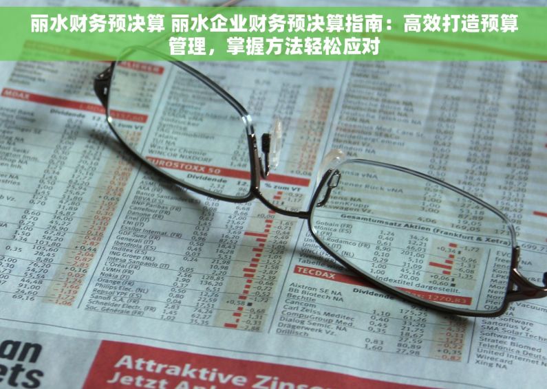 丽水财务预决算 丽水企业财务预决算指南：高效打造预算管理，掌握方法轻松应对
