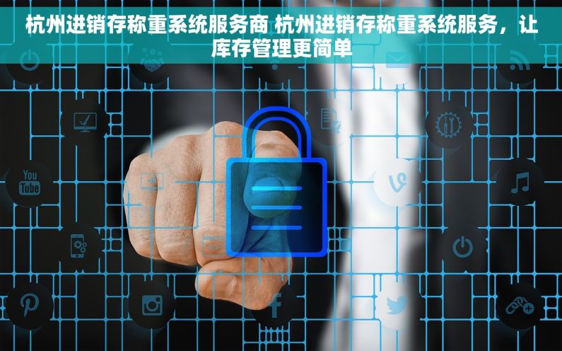 杭州进销存称重系统服务商 杭州进销存称重系统服务，让库存管理更简单