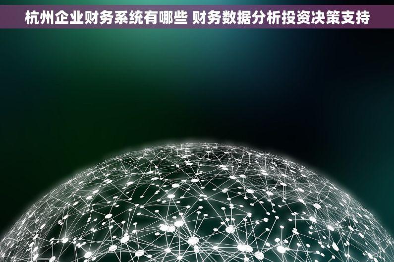 杭州企业财务系统有哪些 财务数据分析投资决策支持
